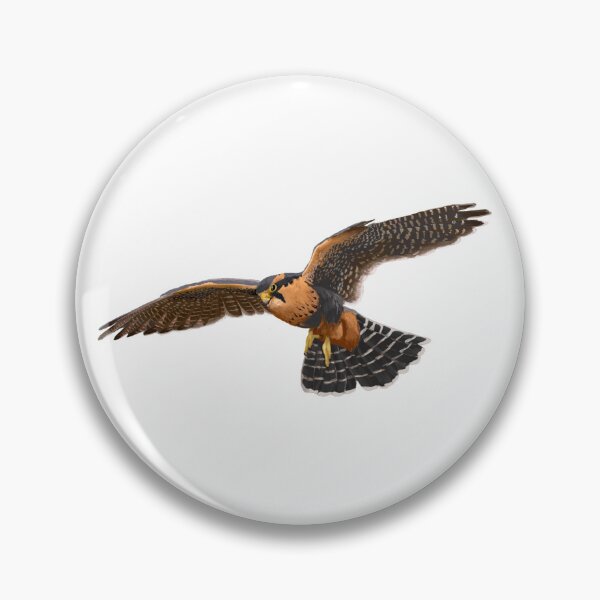 Item preview, Aplomado Falcon designed and sold by Kindahawkward.