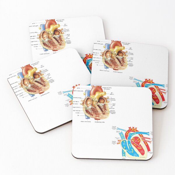 Item preview, Heart anatomy  designed and sold by fattim3.
