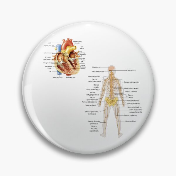 Item preview, Heart and body anatomy  designed and sold by fattim3.