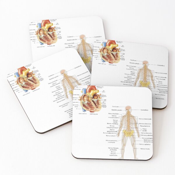 Item preview, Heart and body anatomy  designed and sold by fattim3.