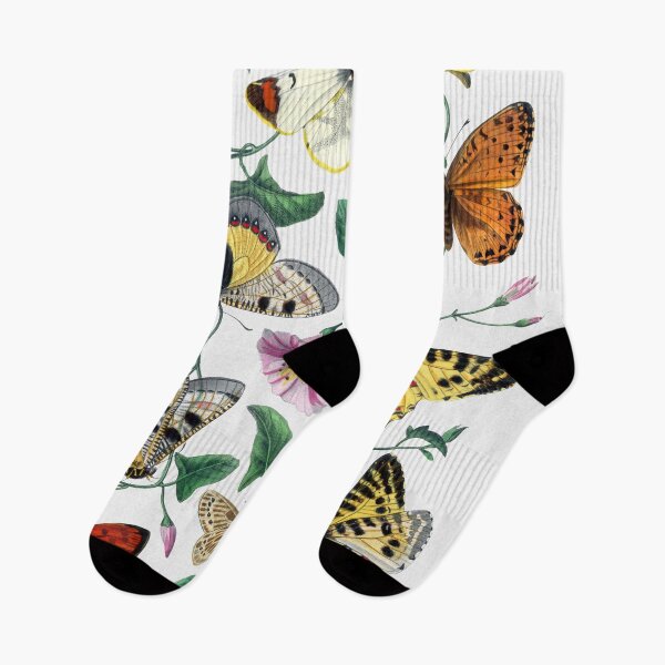 Item preview, Butterflies and Moths, Le Jardin Des Plantes by Paul Gervais (1842) designed and sold by Meliara Prints.