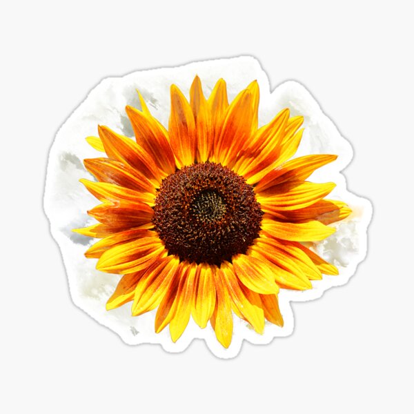 Item preview, Dramatic Sunflower designed and sold by Maria Keady.