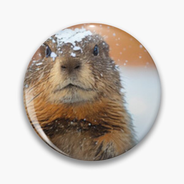 Item preview, Sleepy groundhog designed and sold by Dbanksdesign.