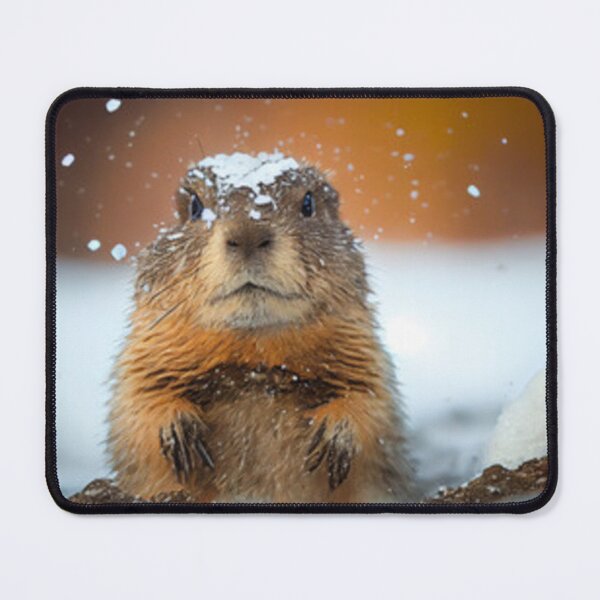 Item preview, Sleepy groundhog designed and sold by Dbanksdesign.