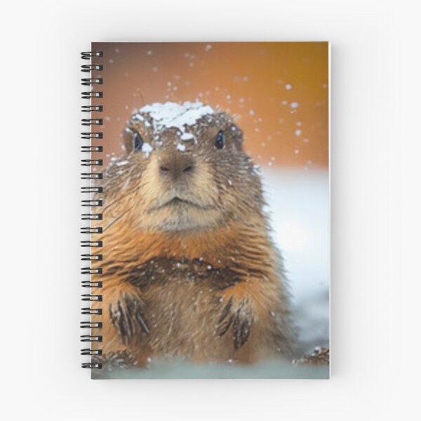 Item preview, Sleepy groundhog designed and sold by Dbanksdesign.