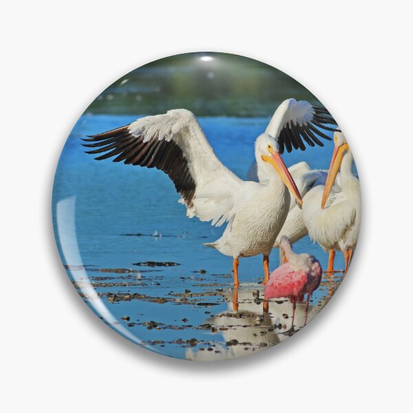 Item preview, Harmonious Balance  designed and sold by Michiale.