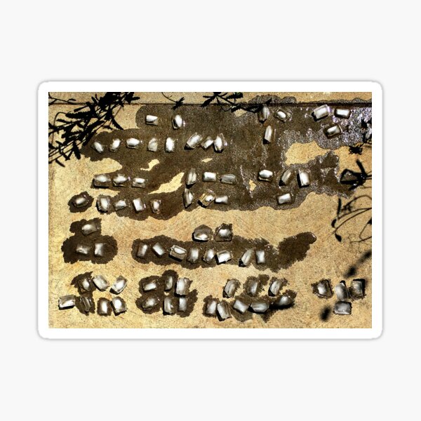 Item preview, Soon After it Becomes Water designed and sold by Vern Tonkin.