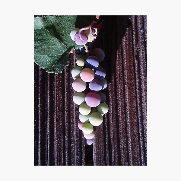 Item preview, Grapes designed and sold by SeeGodAroundUs.