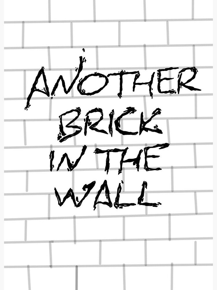 Another Brick In The Wall Canvas Print