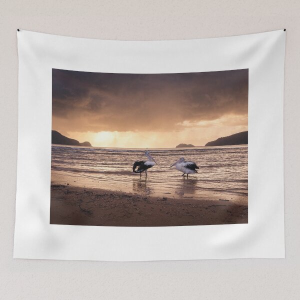 Item preview, Pelicans At Sunrise designed and sold by Geoff Wols.