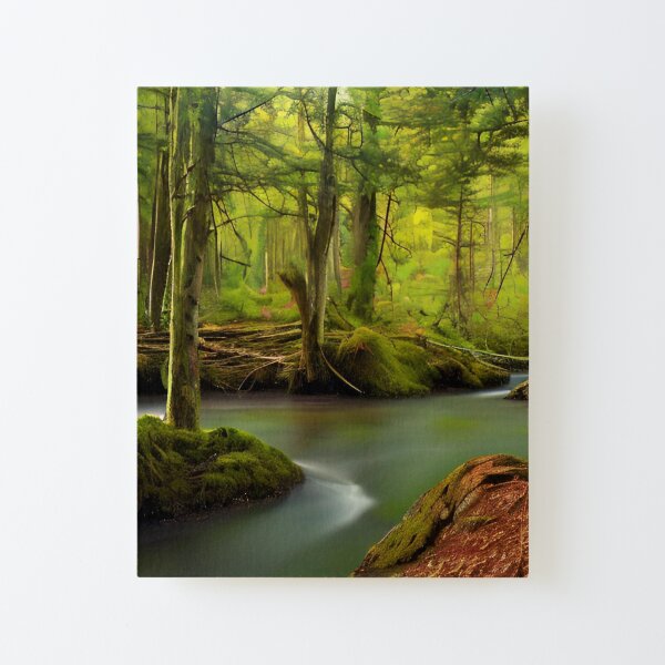creek 2 Canvas Mounted Print