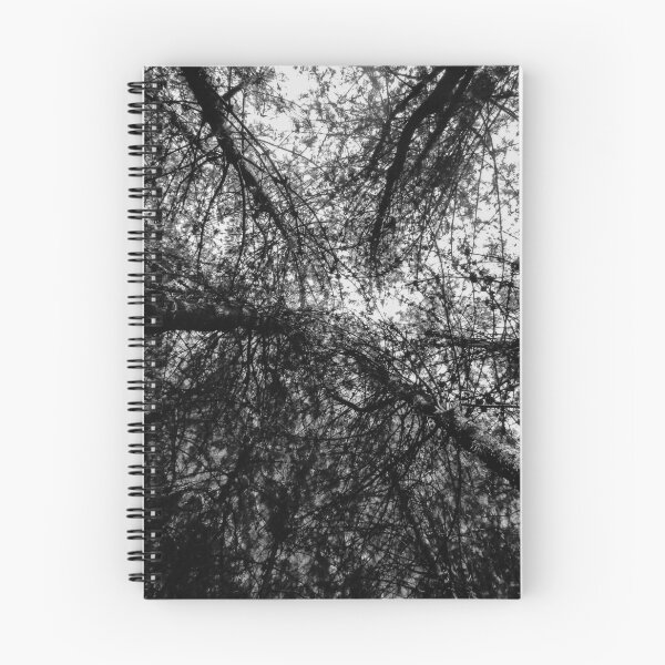 Item preview, Forest designed and sold by Bejuko.