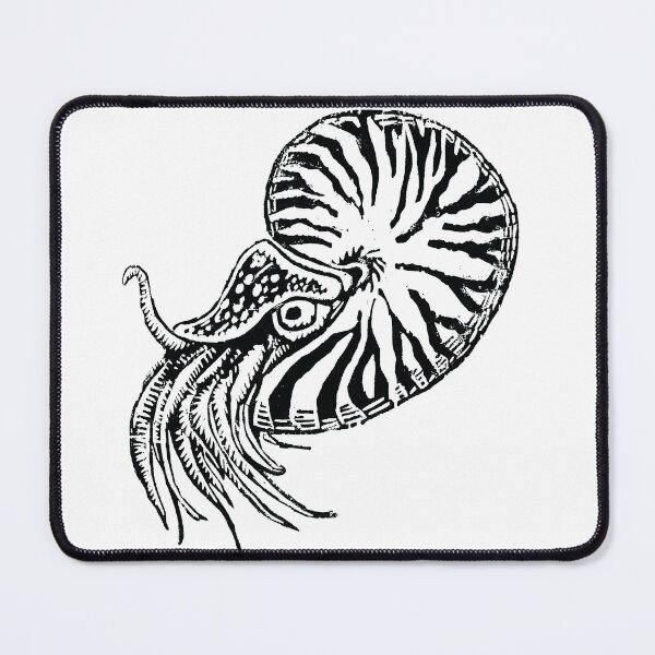 Item preview, Nautilus block print designed and sold by graphiteme.