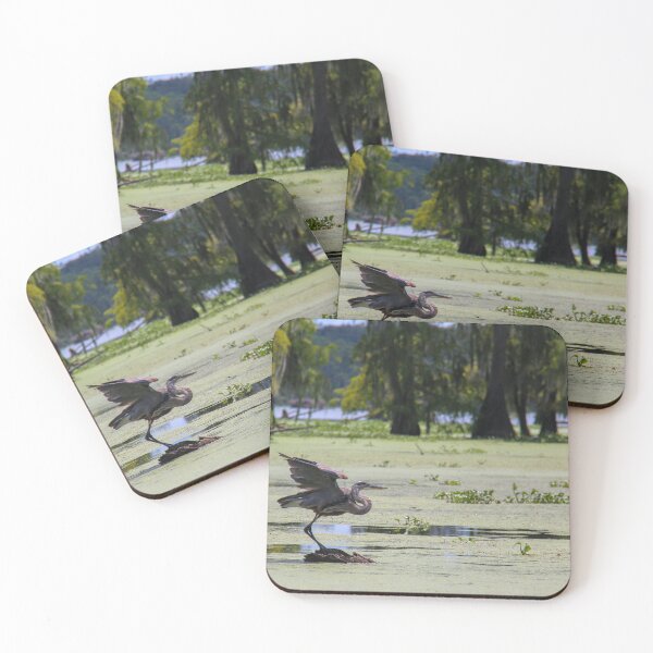 Item preview, Bird Ready for Take Off in Louisiana Swamp designed and sold by jrtwynam.