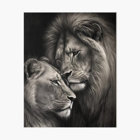 Item preview, Love between lions is a majestic sight to behold. designed and sold by lionsavannah.