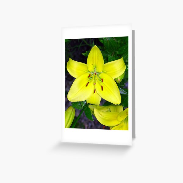Almost Gold Greeting Card