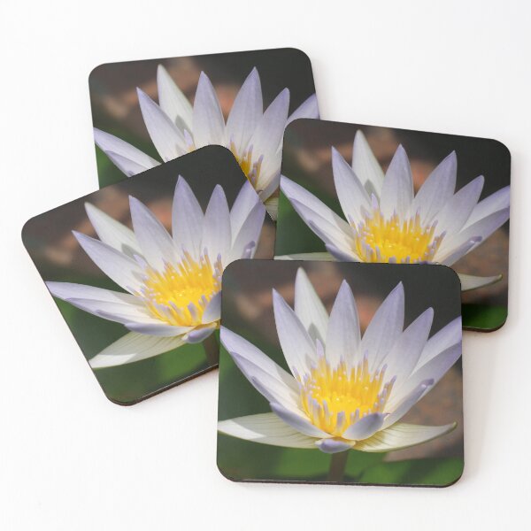 Item preview, Water Lily 2 designed and sold by SeeGodAroundUs.