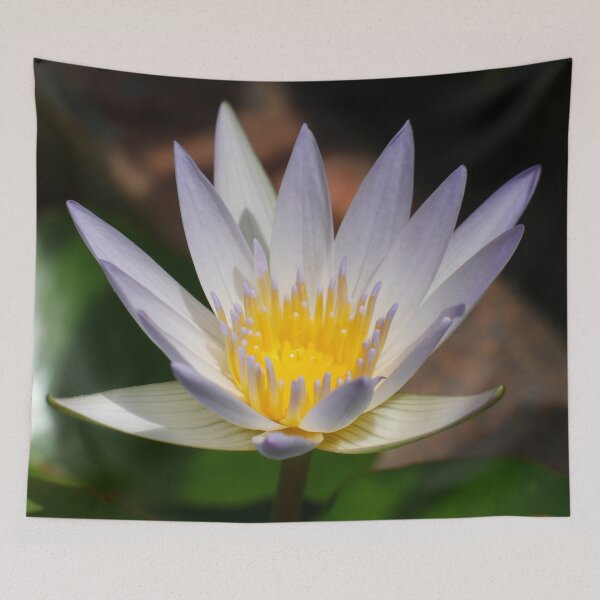 Item preview, Water Lily 2 designed and sold by SeeGodAroundUs.