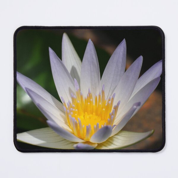 Item preview, Water Lily 3 designed and sold by SeeGodAroundUs.