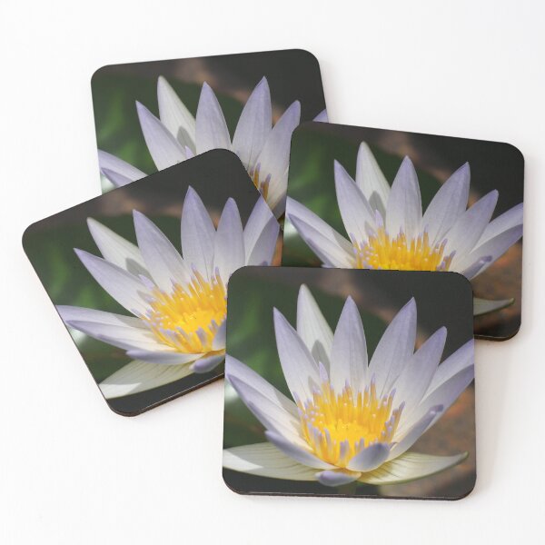 Item preview, Water Lily 3 designed and sold by SeeGodAroundUs.