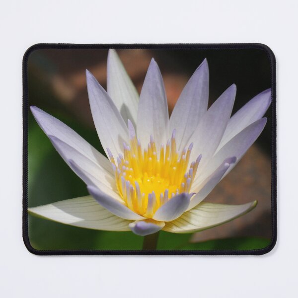 Item preview, Water Lily 2 designed and sold by SeeGodAroundUs.