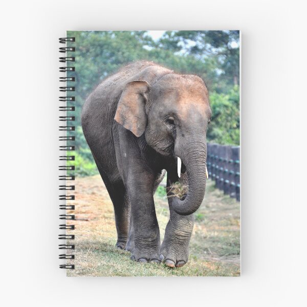 Item preview, nepal - chitwan national park designed and sold by franck380.