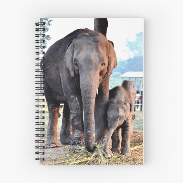 Item preview, nepal - chitwan national park designed and sold by franck380.