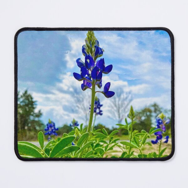 Item preview, Bluebonnet designed and sold by Cathy Jones.