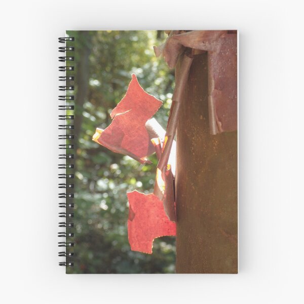 Item preview, Paper Bark Maple Bark designed and sold by The Botanical Jason.