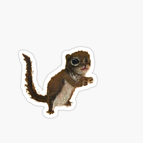 Rocky the Squirrel Sticker