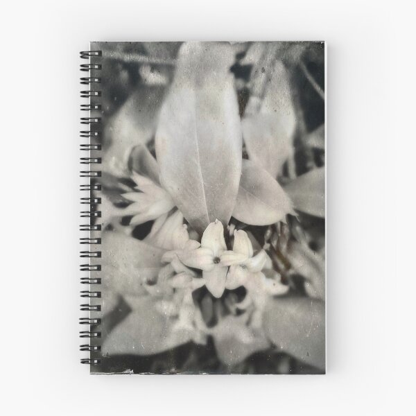 Item preview, Daphne designed and sold by Barbara E Wyeth.