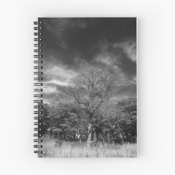Item preview, Alive and Breathing designed and sold by fototaker Tony.