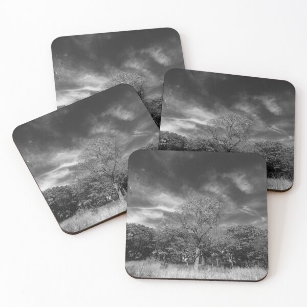 Item preview, Alive and Breathing designed and sold by fototaker Tony.