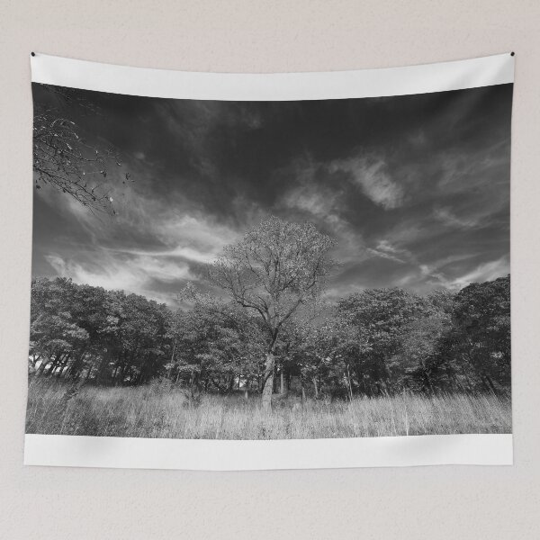 Item preview, Alive and Breathing designed and sold by fototaker Tony.