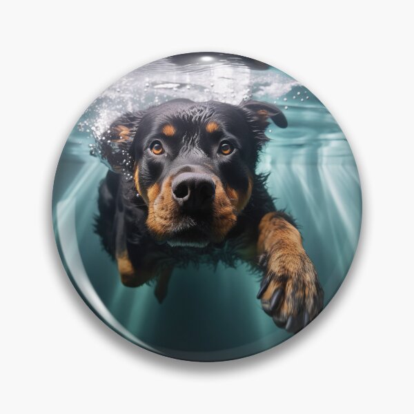 Artikelvorschau, Junger Rottiweiler Schwimmen: 1 entworfen und verkauft von ebrawne.