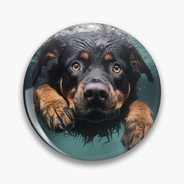 Artikelvorschau, Junger Rottie schwimmend: 4 entworfen und verkauft von ebrawne.