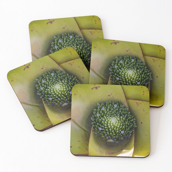 Item preview, Bromeliad 1 designed and sold by Jacquiamber.