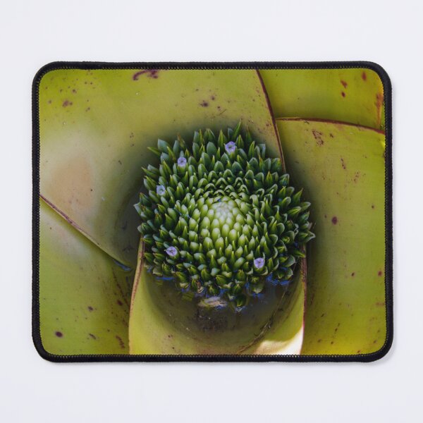 Artikelvorschau, Bromeliad 1 entworfen und verkauft von Jacquiamber.