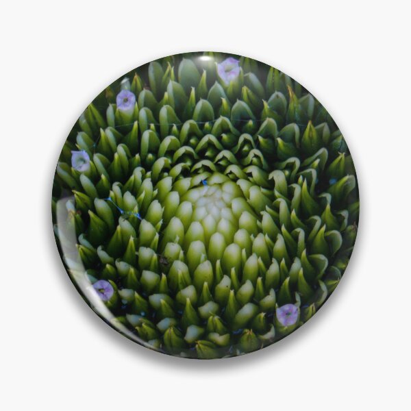 Item preview, Bromeliad 1 designed and sold by Jacquiamber.