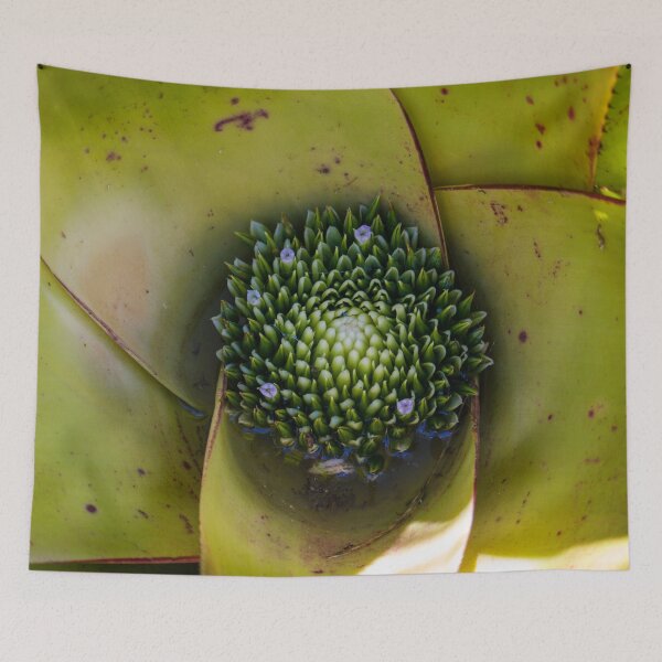 Item preview, Bromeliad 1 designed and sold by Jacquiamber.
