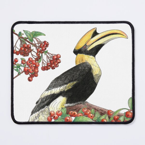 Item preview, Great Indian Hornbill and Firethorn designed and sold by YuNikDraw.