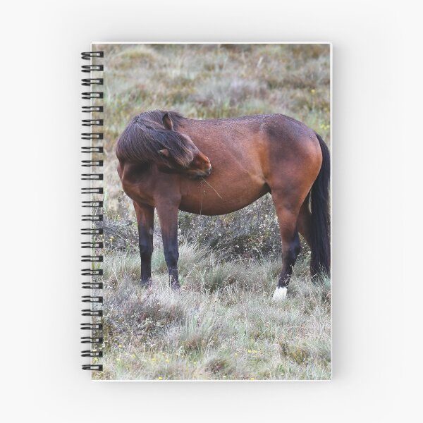 Item preview, Mountain Brumbies designed and sold by Raquel O'Neill.