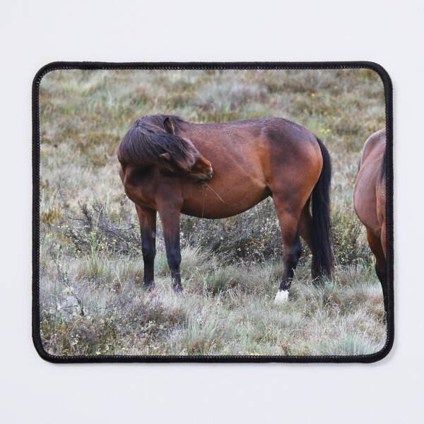 Item preview, Mountain Brumbies designed and sold by Raquel O'Neill.