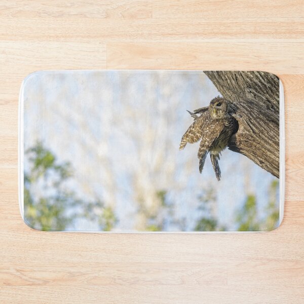 Item preview, Mama Barred Owl designed and sold by Puttaswamy Ravishankar.