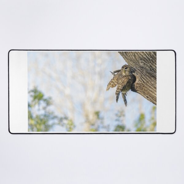 Item preview, Mama Barred Owl designed and sold by Puttaswamy Ravishankar.
