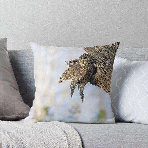 Item preview, Mama Barred Owl designed and sold by Puttaswamy Ravishankar.