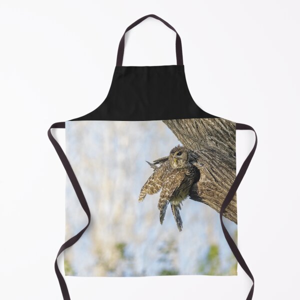 Item preview, Mama Barred Owl designed and sold by Puttaswamy Ravishankar.