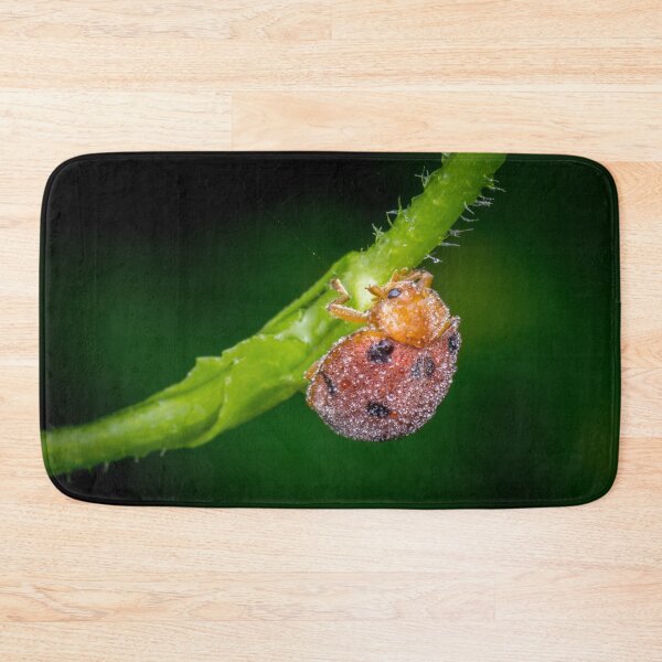 Item preview, A dew covered lady bug! (Epilachna indica) crawling along the petiole  designed and sold by AvonPerception.