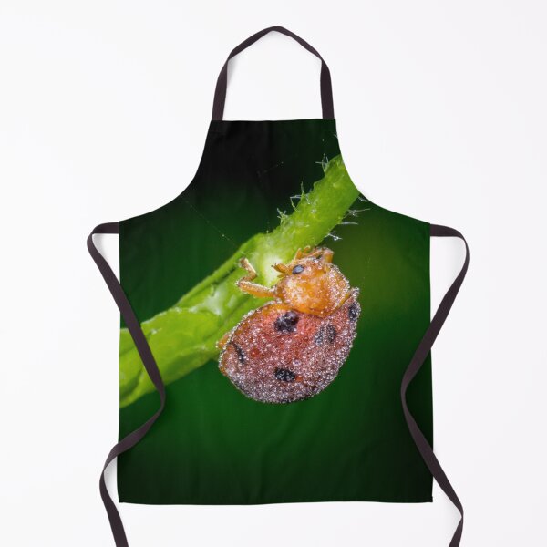 Item preview, A dew covered lady bug! (Epilachna indica) crawling along the petiole designed and sold by AvonPerception.