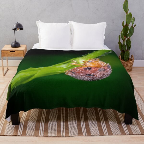 Item preview, A dew covered lady bug! (Epilachna indica) crawling along the petiole  designed and sold by AvonPerception.